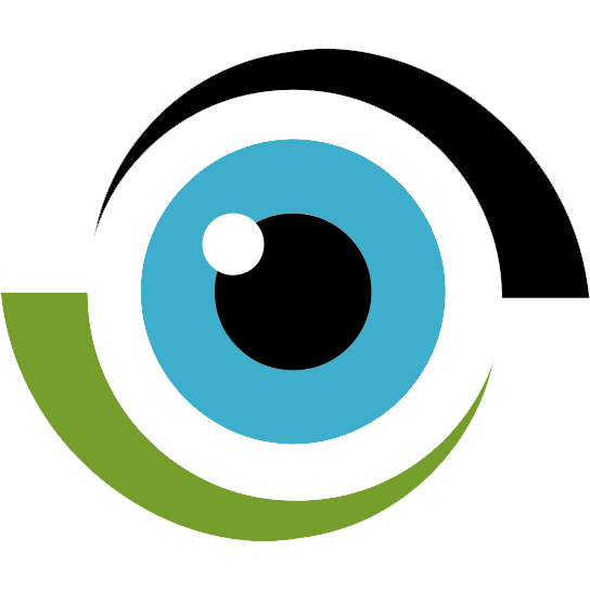 Dumfries Visionostics Logo